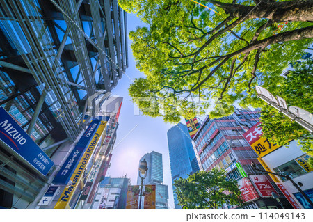 日本東京的街景 又到了新綠的季節…澀谷的清晨…新綠耀眼，讓人感覺有些清爽…=4月28日 114049143