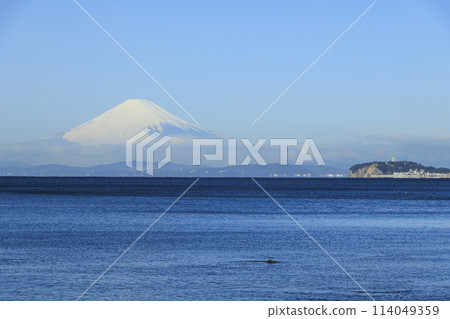 Fuji seen from Hayama 114049359