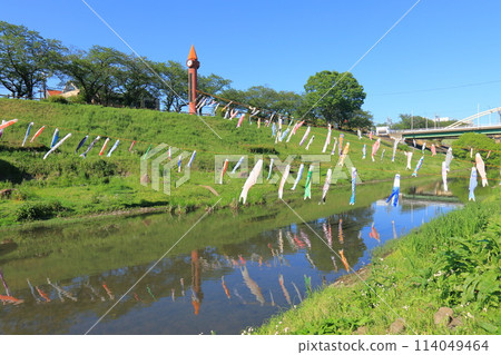 千葉縣流山市運河水邊公園，掛著鯉魚旗的利根運河 114049464