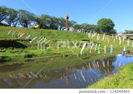 Carp streamers fly along the Tone Canal at Canal Waterfront Park in Nagareyama City, Chiba Prefecture 114049465