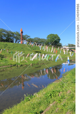 千葉縣流山市運河水邊公園,掛著鯉魚旗的利根運河 千葉縣流山市運河水邊公園,掛著鯉魚旗的利根運河 114049466