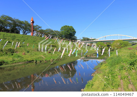 Carp streamers fly along the Tone Canal at Canal Waterfront Park in Nagareyama City, Chiba Prefecture 114049467