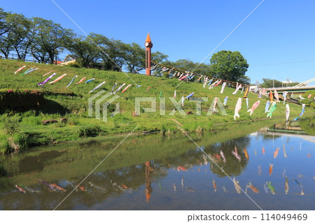 Carp streamers fly along the Tone Canal at Canal Waterfront Park in Nagareyama City, Chiba Prefecture Carp streamers fly along the Tone Canal at Canal Waterfront Park in Nagareyama City, Chiba Prefecture 114049469