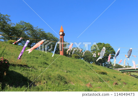 千葉縣流山市運河水邊公園,掛著鯉魚旗的利根運河 千葉縣流山市運河水邊公園,掛著鯉魚旗的利根運河 114049473