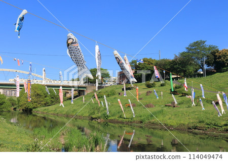 千葉縣流山市運河水邊公園,掛著鯉魚旗的利根運河 千葉縣流山市運河水邊公園,掛著鯉魚旗的利根運河 114049474