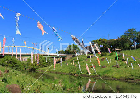 Carp streamers fly along the Tone Canal at Canal Waterfront Park in Nagareyama City, Chiba Prefecture 114049476