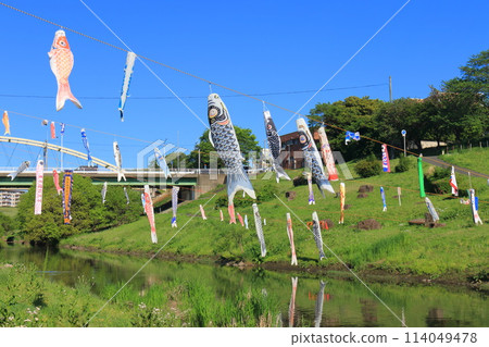 千葉縣流山市運河水邊公園，掛著鯉魚旗的利根運河 114049478