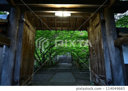 Fresh greenery at Entsuji Temple Fresh greenery at Entsuji Temple 114049665