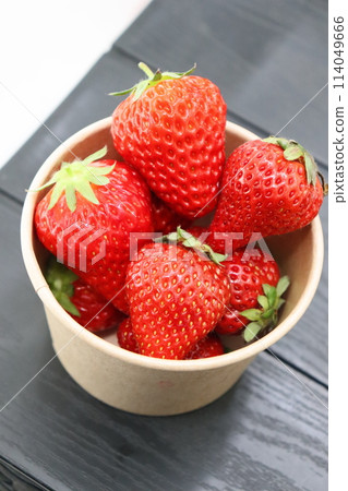 Strawberries, strawberry picking, strawberries, strawberry picking, strawberry farm, fruit, greenhouse cultivation 114049666