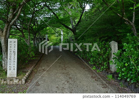 Fresh greenery at Entsuji Temple 114049769