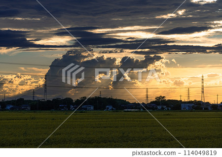 日落時的大積雨雲 日落時的大積雨雲 114049819