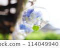 繡球花裝飾 114049940