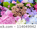 八仙花屬花手水 114049942