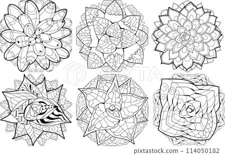 Set of Succulents houseplant on mandala for coloring. Print shape home plant urban tropical jungle decor. Set of Succulents houseplant on mandala for coloring. Print shape home plant urban tropical jungle decor. 114050182