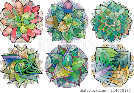 Set of Succulents houseplant on mandala. Print shape home plant urban tropical jungle decor. Set of Succulents houseplant on mandala. Print shape home plant urban tropical jungle decor. 114050183