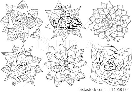 Set of Succulents houseplant for coloring. Print shape home plant urban tropical jungle decor. 114050184