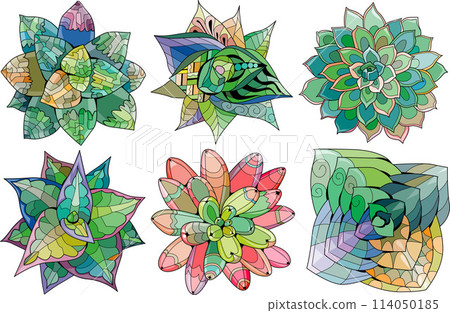 Set of Succulents houseplant. Print shape home plant urban tropical jungle decor. Set of Succulents houseplant. Print shape home plant urban tropical jungle decor. 114050185