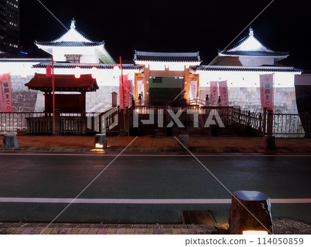 靜岡縣，駿府城，東禦門，夜景，四月 114050859