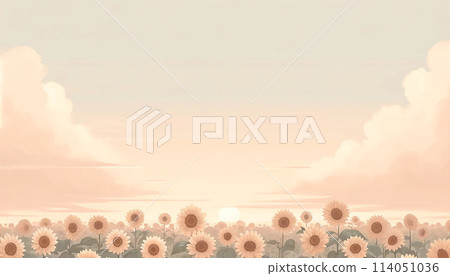 夕陽的天空和向日葵 114051036