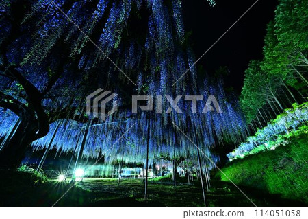 Kakushuji Fuji at Hakuhoji Temple Kakushuji Fuji at Hakuhoji Temple 114051058