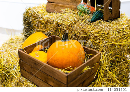 Orange halloween pumpkins on stack of hay or straw in sunny day, fall display 114051301