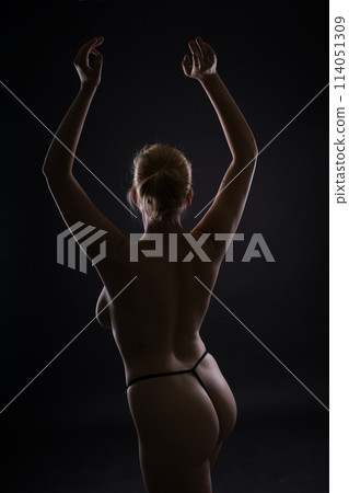 Seductive body nude woman. Naked sensual beautiful female. Artistic silhouette photo. Seductive body nude woman. Naked sensual beautiful female. Artistic silhouette photo. 114051309