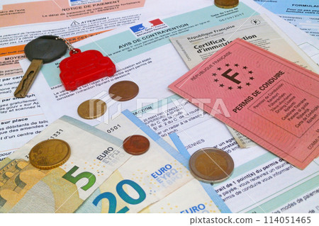 French speeding ticket 114051465