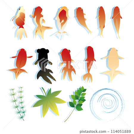 金魚素材插畫集 114051889