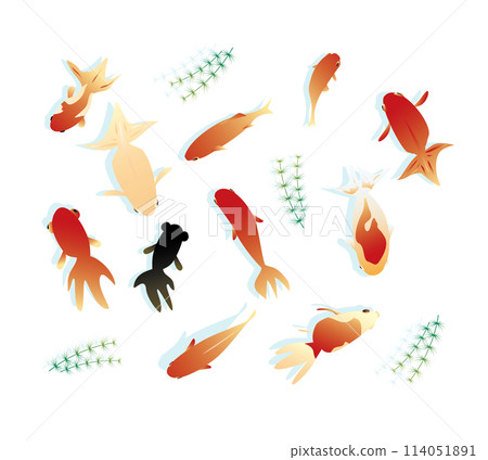 Cool summer Japanese style image background Cool summer Japanese style image background 114051891