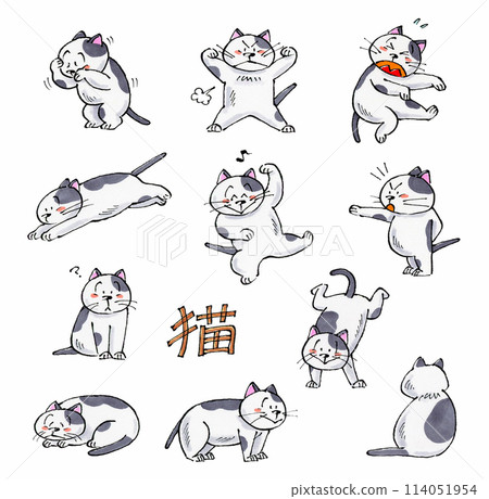 黑白貓的各種姿勢集 114051954
