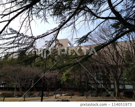 Tree branches and huge building Tree branches and huge building 114051973