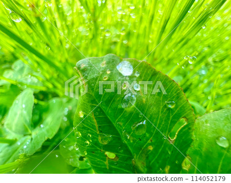雨淋濕了 114052179