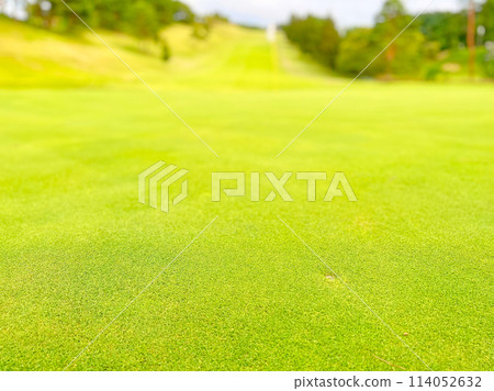 Green of golf course with white banner 114052632