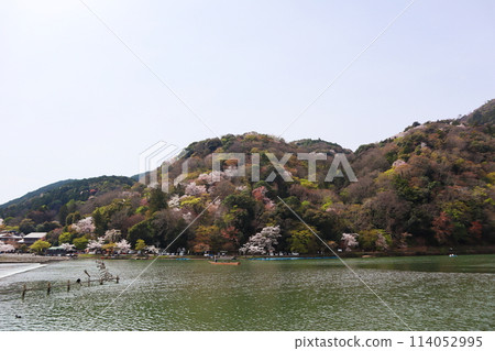Kyoto Arashiyama Ozeki River (Kuzuno Ozeki) 114052995