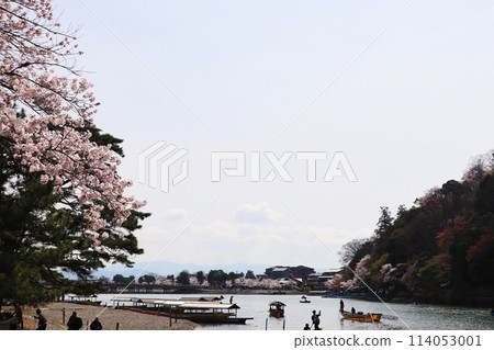 Ozeki River (Kuzuno Ozeki) and Togetsukyo Bridge in Arashiyama, Kyoto during cherry blossom season 114053001