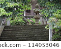 Scenery of a shrine with a stone lantern 114053046