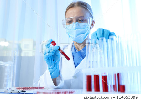 Laboratory assistant and test tubes with donor blood on blue background 114053399
