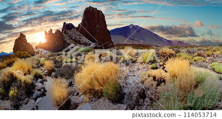 Teide volcano in Canary island.Tenerife national park. Teide volcano in Canary island.Tenerife national park. 114053714