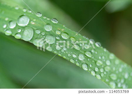 雨淋濕了 雨淋濕了 114053769