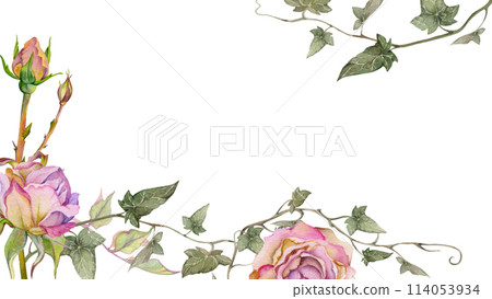 Hand drawn watercolor illustration shabby boho botanical flowers leaves. Dusty pink tea rose buds, ivy tendrils, silver green. Corner frame isolated on white background. Design wedding, love cards Hand drawn watercolor illustration shabby boho botanical flowers leaves. Dusty pink tea rose buds, ivy tendrils, silver green. Corner frame isolated on white background. Design wedding, love cards 114053934