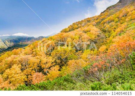 北海道秋葉中的黑岳 北海道秋葉中的黑岳 114054015
