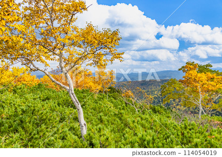 Hokkaido Kurodake in autumn 114054019