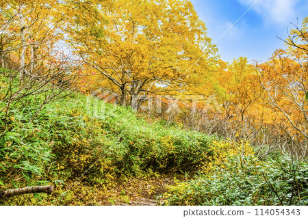 Hokkaido: A hiking trail on Mount Kurodake in autumn colors Hokkaido: A hiking trail on Mount Kurodake in autumn colors 114054343