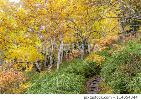 Hokkaido: A hiking trail on Mount Kurodake in autumn colors Hokkaido: A hiking trail on Mount Kurodake in autumn colors 114054344