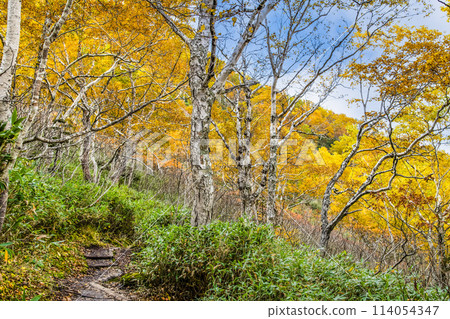 Hokkaido: A hiking trail on Mount Kurodake in autumn colors Hokkaido: A hiking trail on Mount Kurodake in autumn colors 114054347