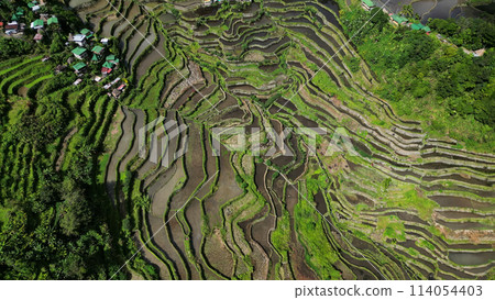 Batad Rice Terraces in Philippines 114054403