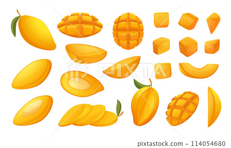 Tropical mango. Sliced exotic juicy fruits exact vector mango collections pictures in cartoon style 114054680