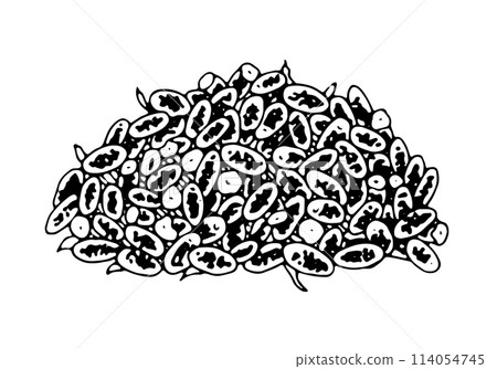 Dry Lavender flowers pile Vector line art. Outline illustration of floral tea. Black and white sketch of officinalis for aroma sachet. Bunch of herbs drawing on isolated background. Hand drawn clipart Dry Lavender flowers pile Vector line art. Outline illustration of floral tea. Black and white sketch of officinalis for aroma sachet. Bunch of herbs drawing on isolated background. Hand drawn clipart 114054745
