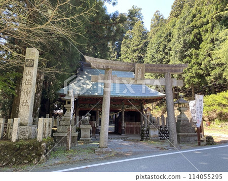 靜岡縣濱松市鳥居和山純神社參道 靜岡縣濱松市鳥居和山純神社參道 114055295