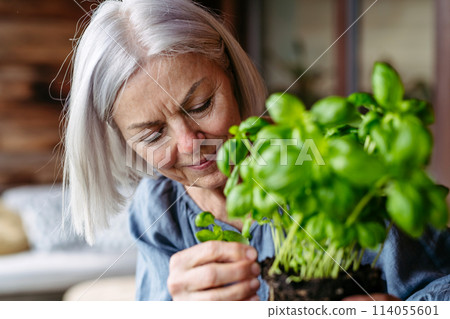 Portrait of beautiful mature woman taking care of plants on balcony. Spending free weekend at home. 114055601
